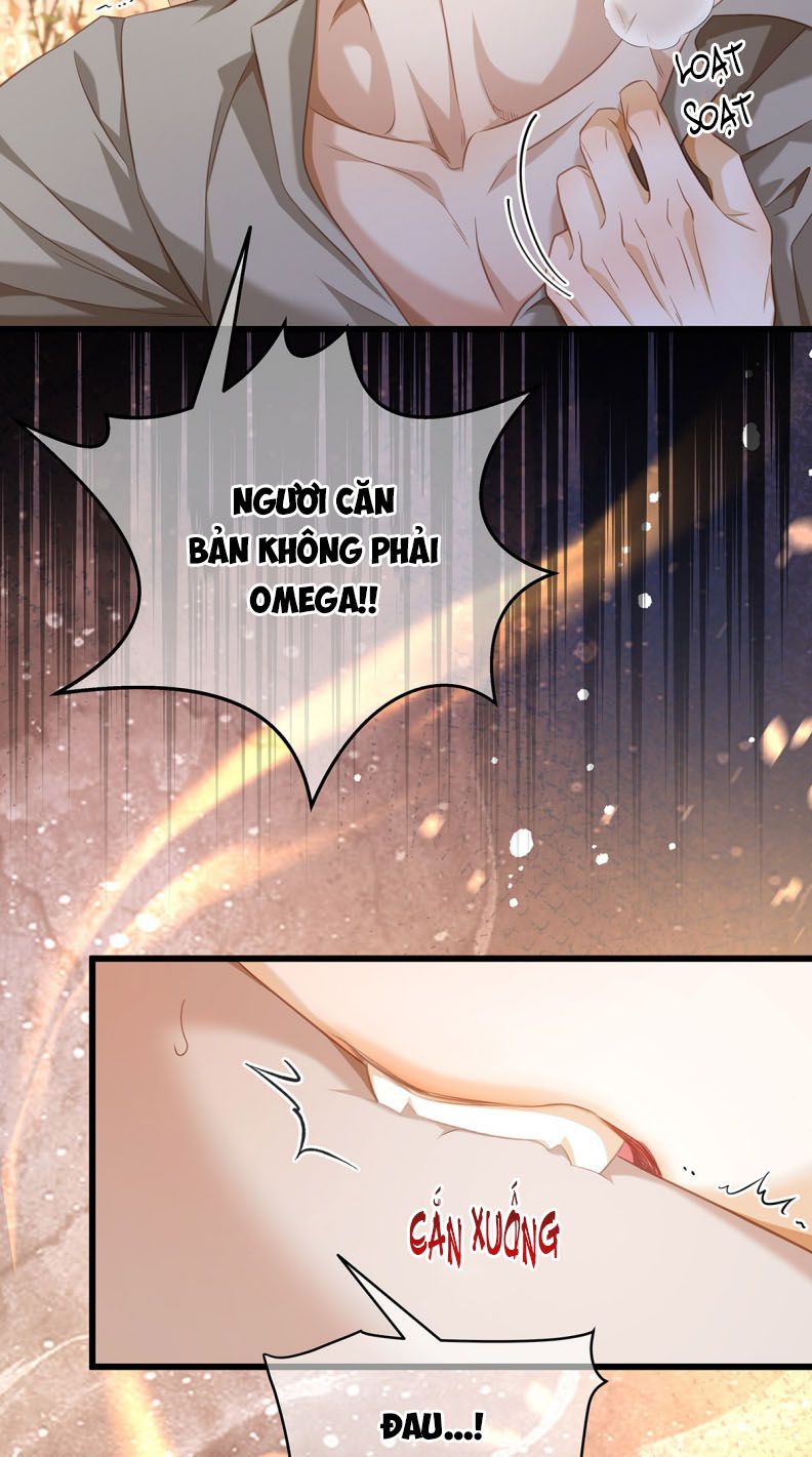 Tôi Trùng Sinh Trở Thành Tiểu Ác Long Của Vương Tử Điện Hạ Chapter 31 - Next Chapter 32