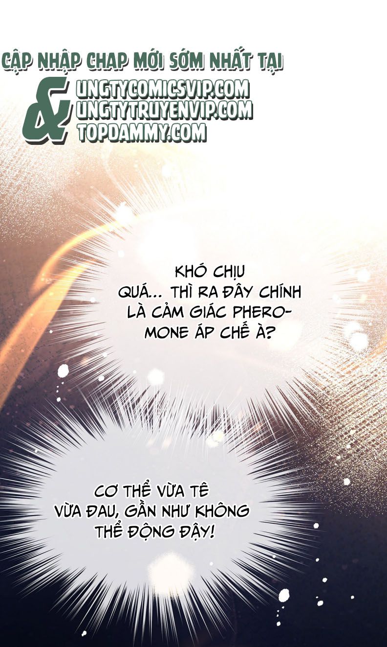 Tôi Trùng Sinh Trở Thành Tiểu Ác Long Của Vương Tử Điện Hạ Chapter 31 - Next Chapter 32
