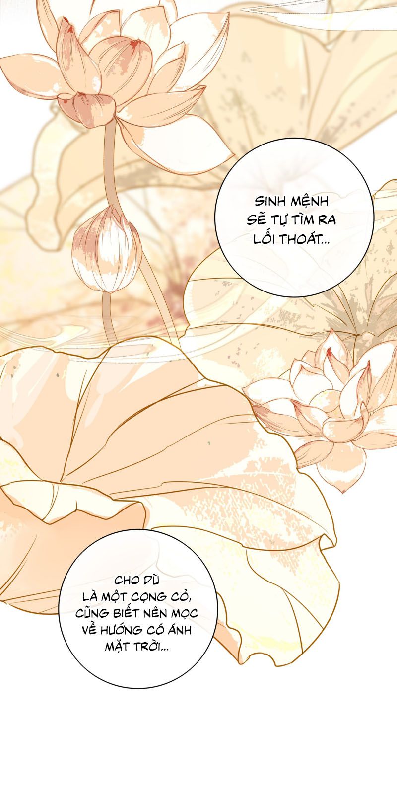 Sau Khi Chết Ta Trở Thành Nốt Chu Sa Của Ca Ca Chapter 58 - Trang 4