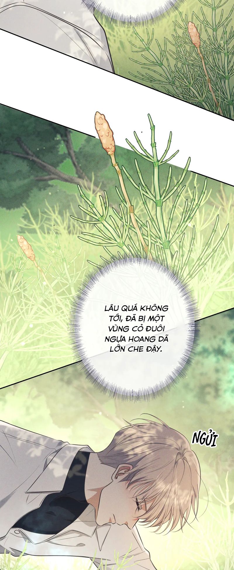 Đêm Tình Yêu Và Sát Ý Chap 17 - Next Chapter 17