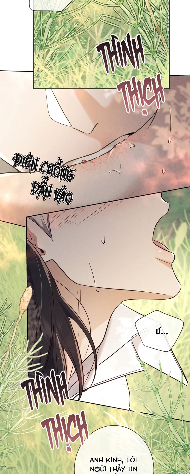 Đêm Tình Yêu Và Sát Ý Chap 17 - Next Chapter 17