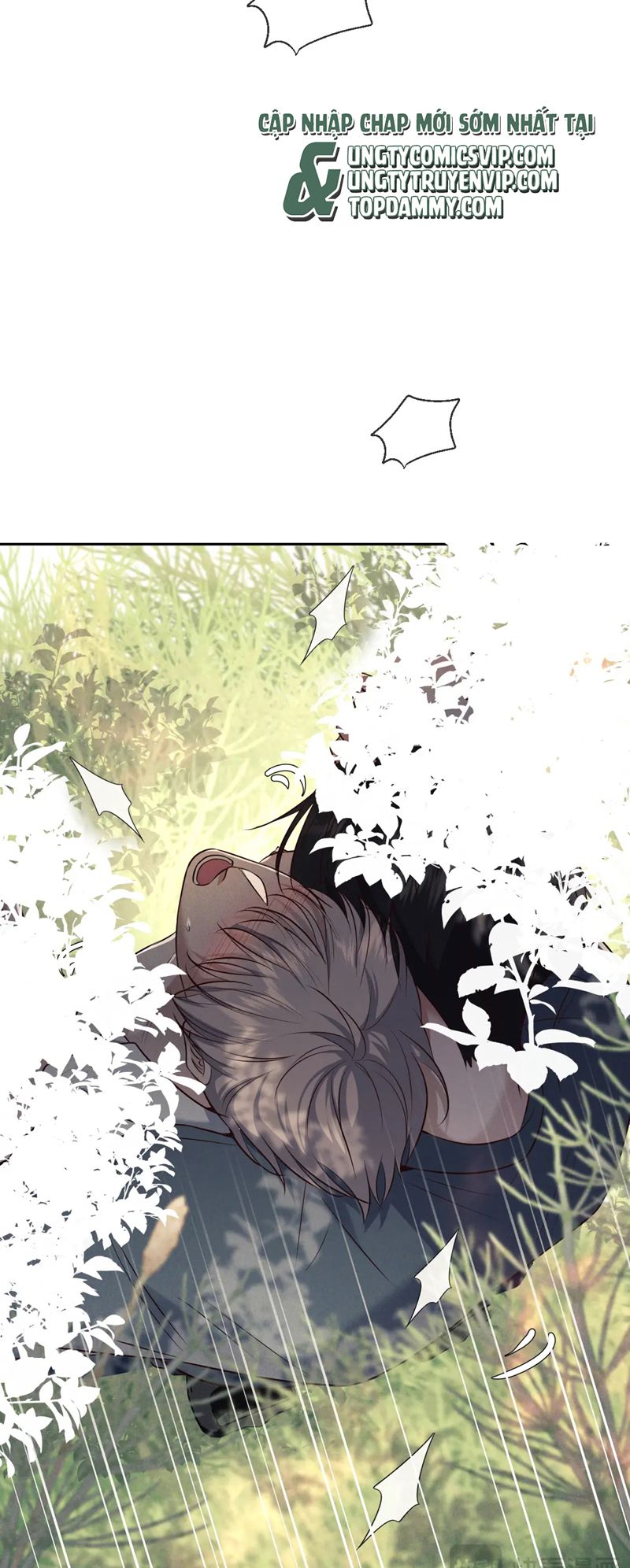 Đêm Tình Yêu Và Sát Ý Chap 17 - Next Chapter 17
