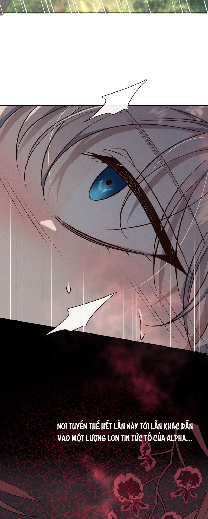 Đêm Tình Yêu Và Sát Ý Chap 17 - Next Chapter 17