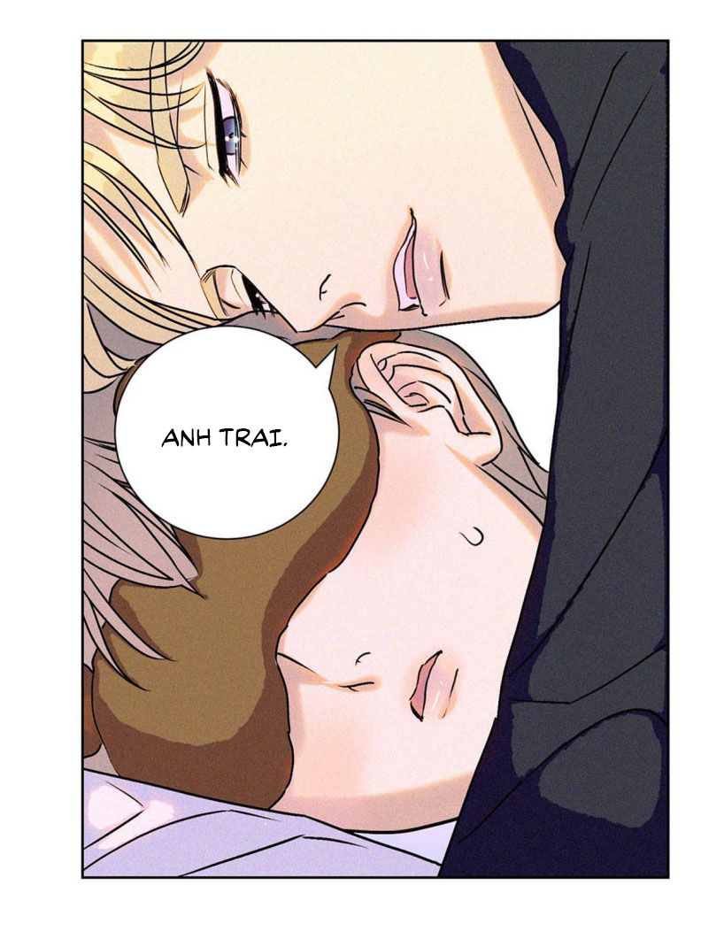 Anh Trai Tiện Lợi Của Tôi Chap 27 - Trang 3