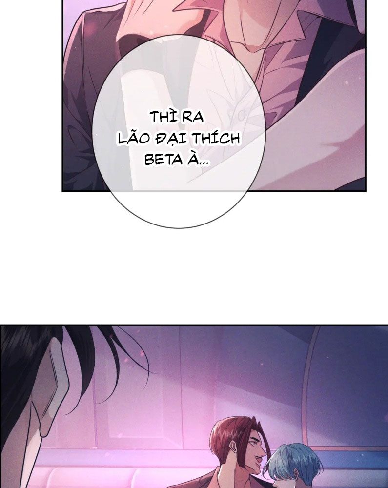 Đêm Tình Yêu Và Sát Ý Chapter 19 - Next Chap 19