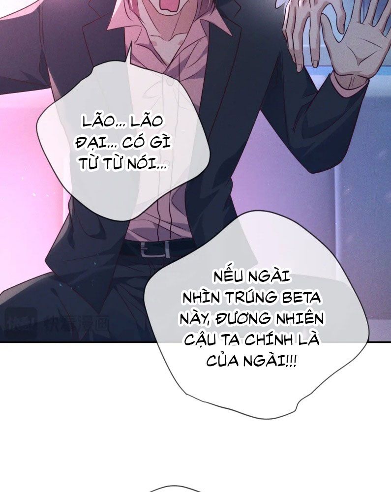 Đêm Tình Yêu Và Sát Ý Chapter 19 - Next Chap 19