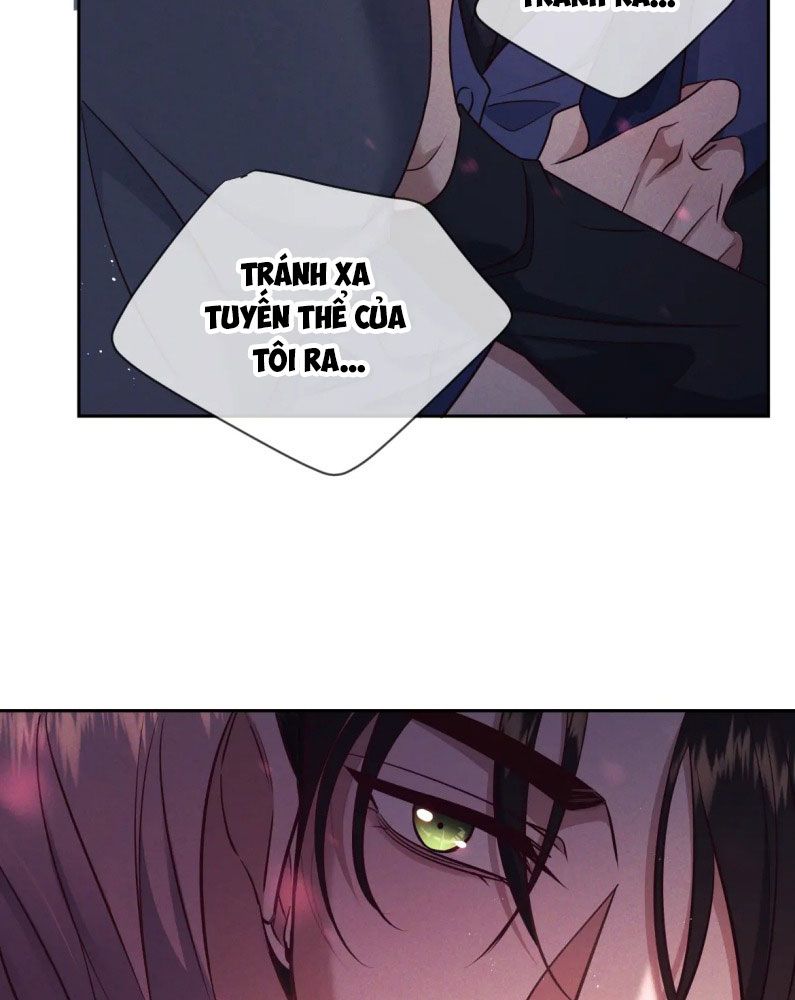 Đêm Tình Yêu Và Sát Ý Chapter 19 - Next Chap 19