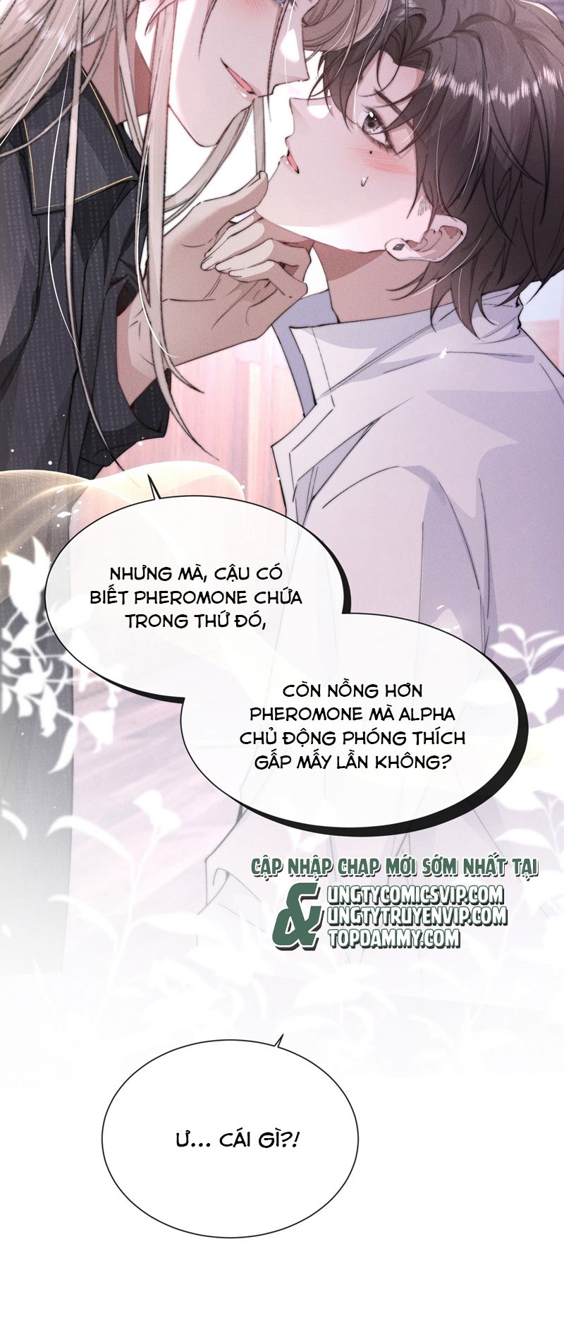 Kế Hoạch Tự Dưỡng Cuồng Khuyển Chap 20 - Trang 4