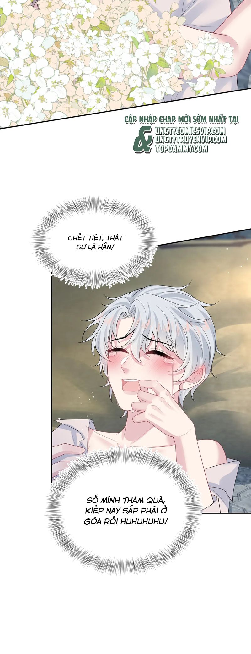 Tuyệt Mỹ Bạch Liên Hoa Online Dạy Học Chap 324 - Trang 2
