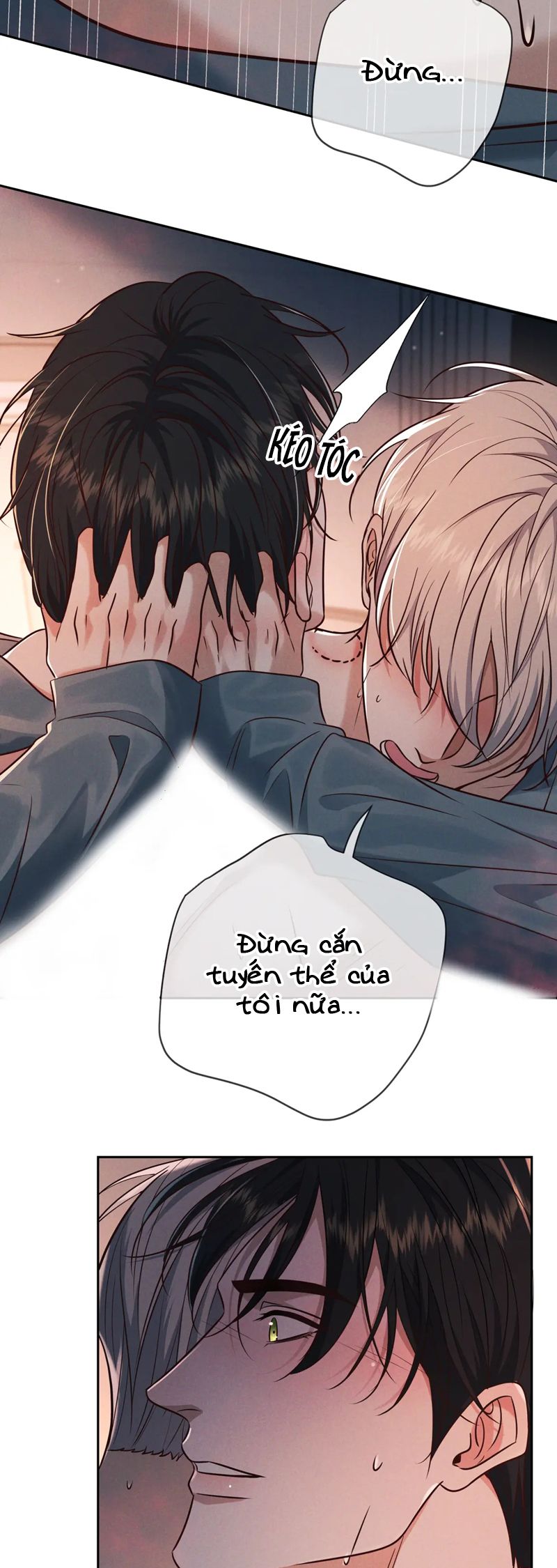 Đêm Tình Yêu Và Sát Ý Chapter 24 - Next Chapter 25