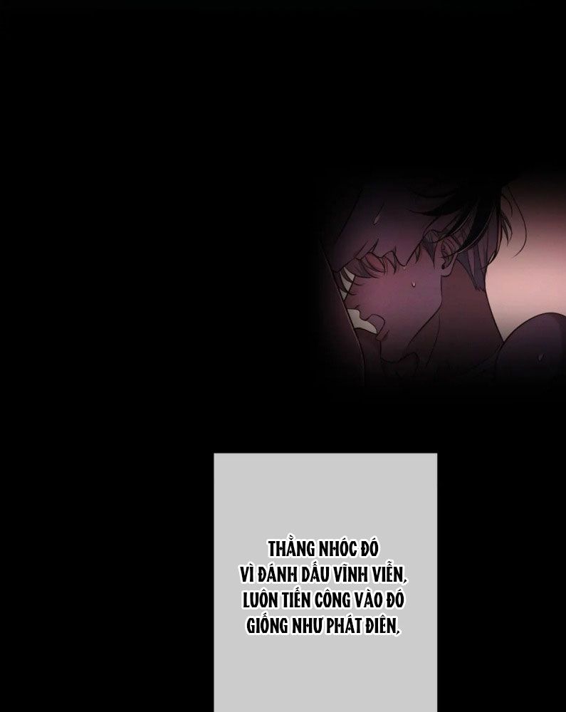 Đêm Tình Yêu Và Sát Ý Chapter 25 - Next Chapter 26