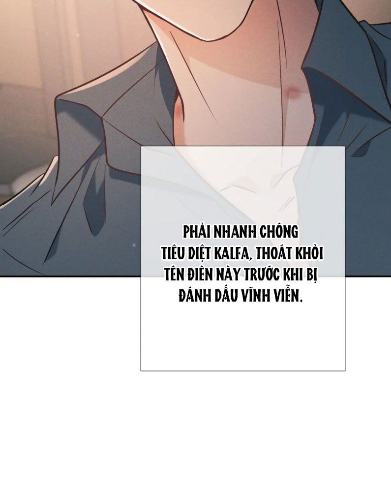 Đêm Tình Yêu Và Sát Ý Chapter 25 - Next Chapter 26
