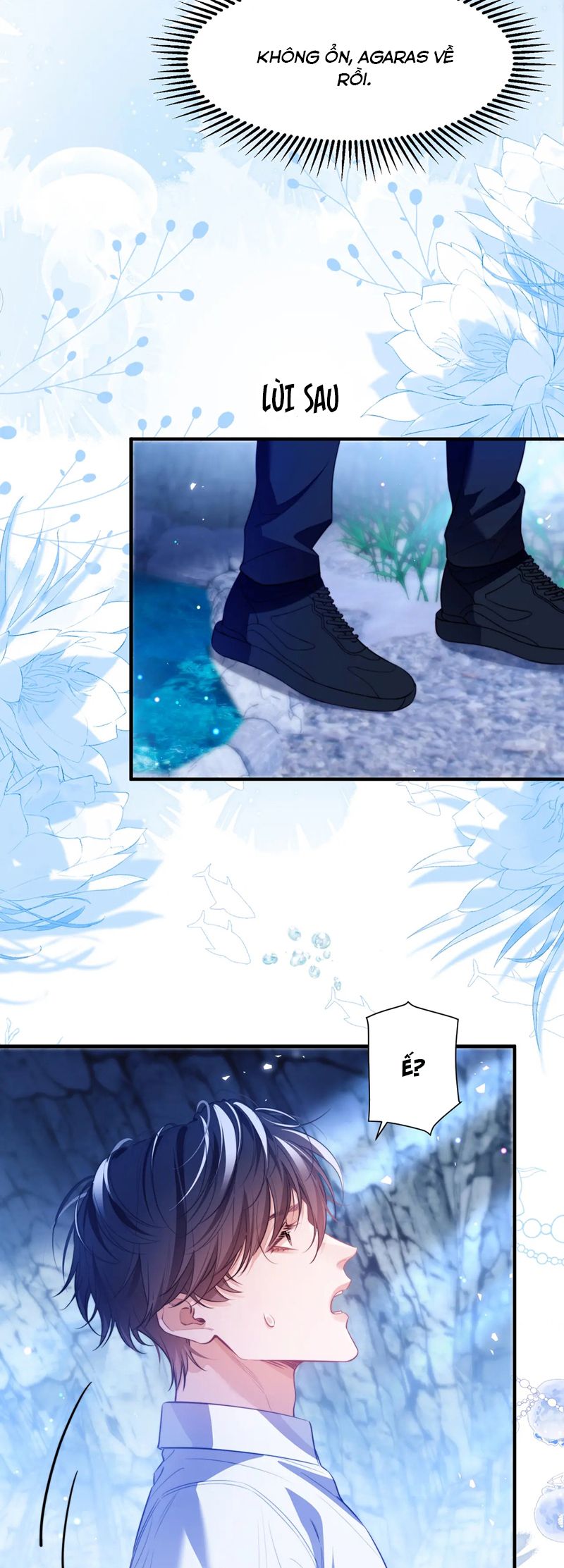 Desharow Nhân Ngư Chapter 56 - Next Chapter 57