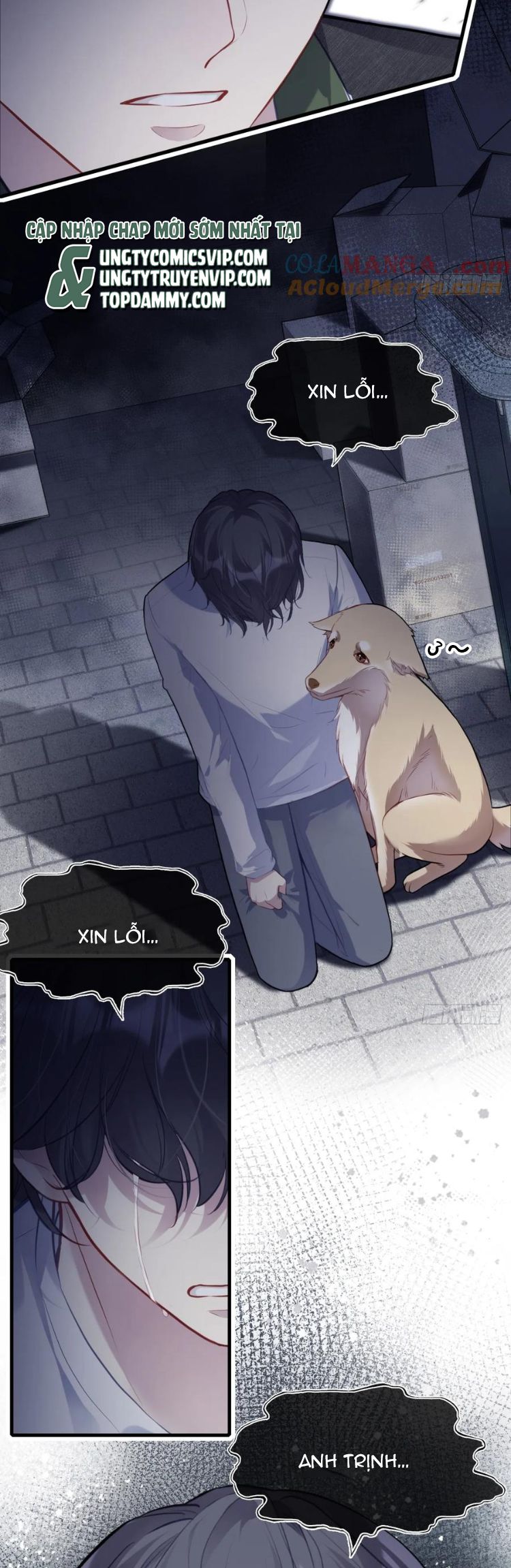 Anh Ấy Chưa Từng Rơi Xuống Chap 79 - Next Chap 80