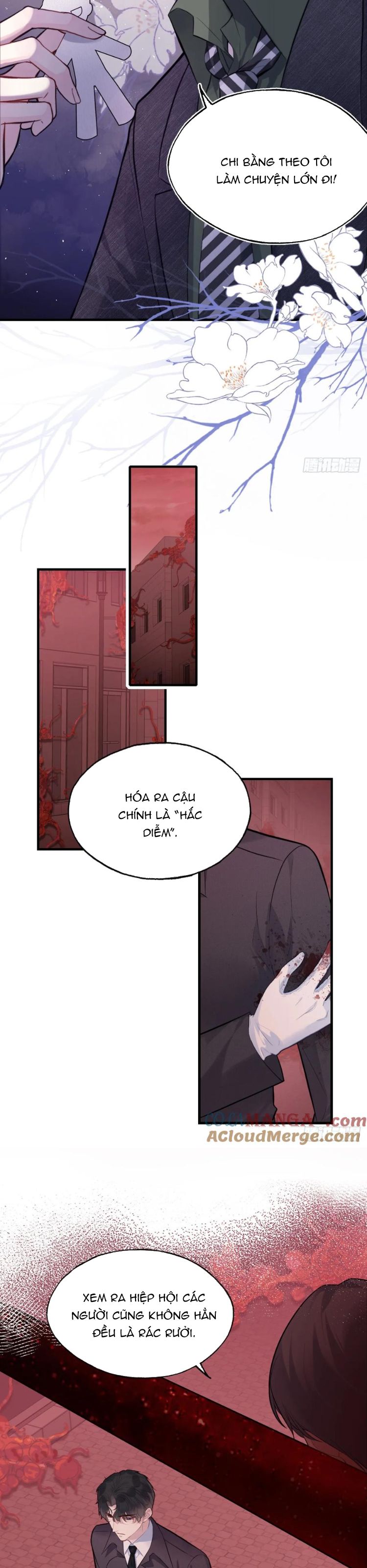 Anh Ấy Chưa Từng Rơi Xuống Chap 80 - Next Chap 81