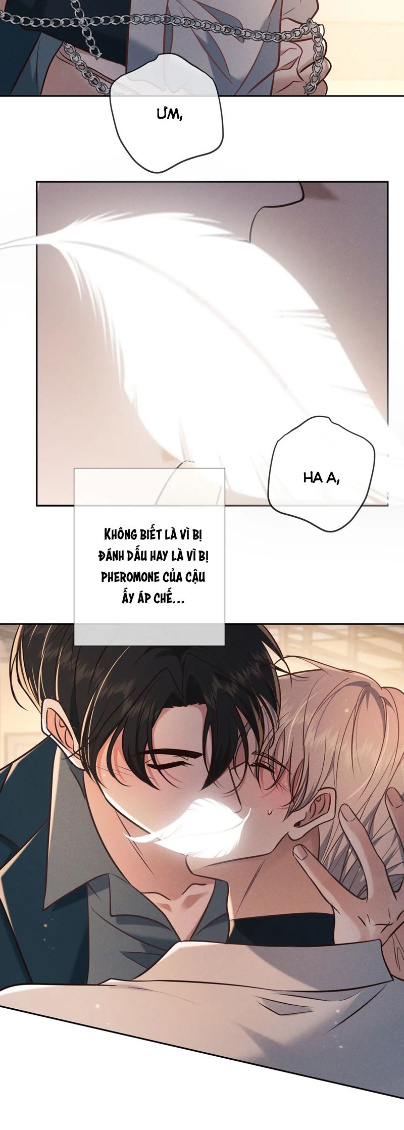 Đêm Tình Yêu Và Sát Ý Chapter 28 - Next Chap 29