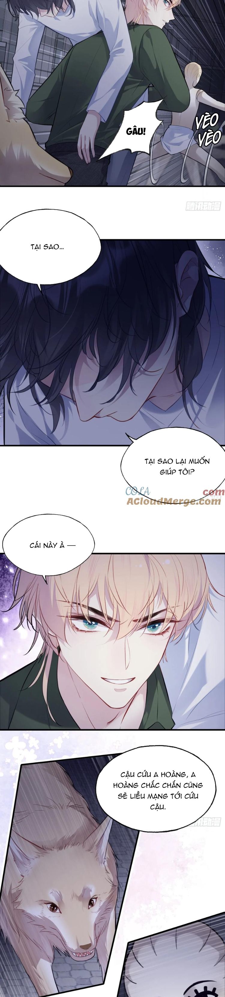 Anh Ấy Chưa Từng Rơi Xuống Chap 82 - Next Chap 83