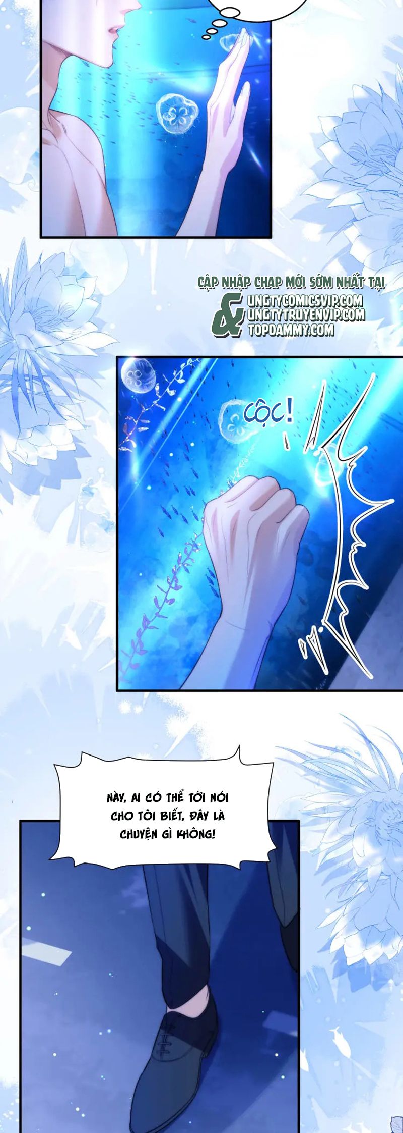 Desharow Nhân Ngư Chapter 60 - Next Chapter 61