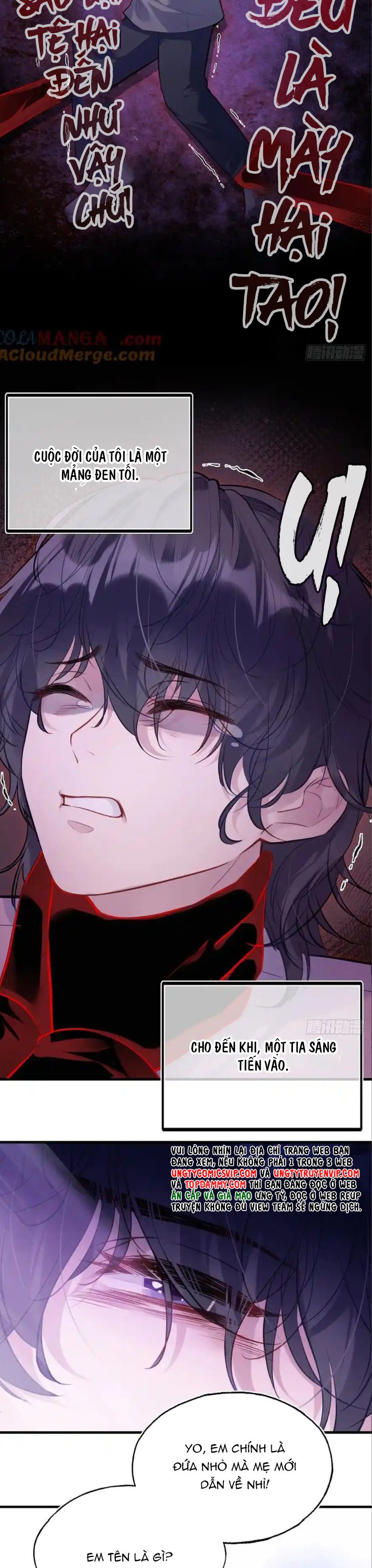 Anh Ấy Chưa Từng Rơi Xuống Chap 83 - Next Chap 84