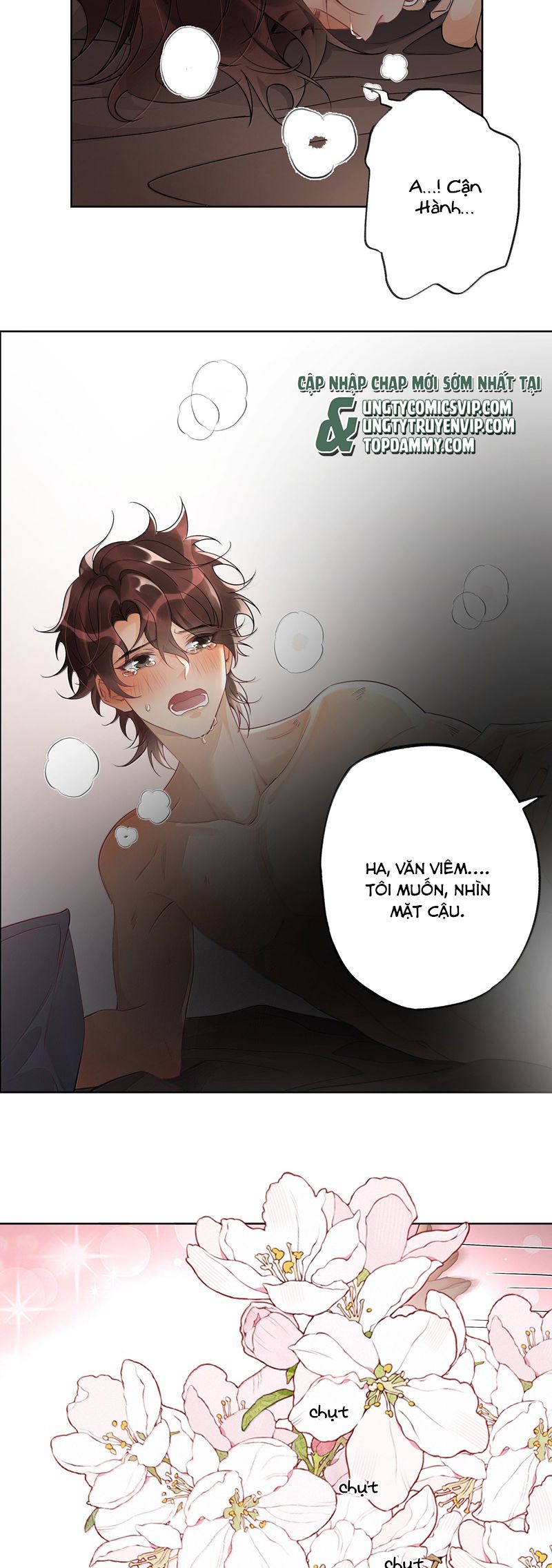 Xuyên Nhanh Chi Cải Tạo Bắt Đầu Lại Làm Người Chapter 118 - Trang 4