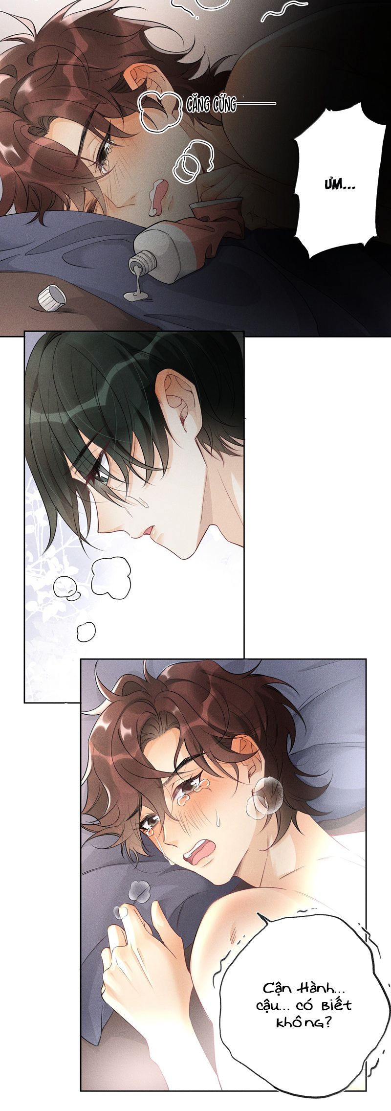 Xuyên Nhanh Chi Cải Tạo Bắt Đầu Lại Làm Người Chapter 118 - Trang 4