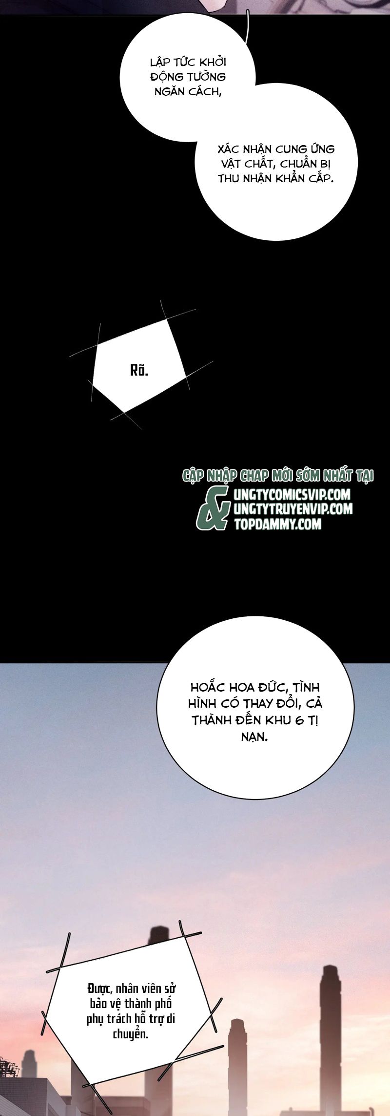 Cây Nấm Nhỏ Chap 37 - Trang 4