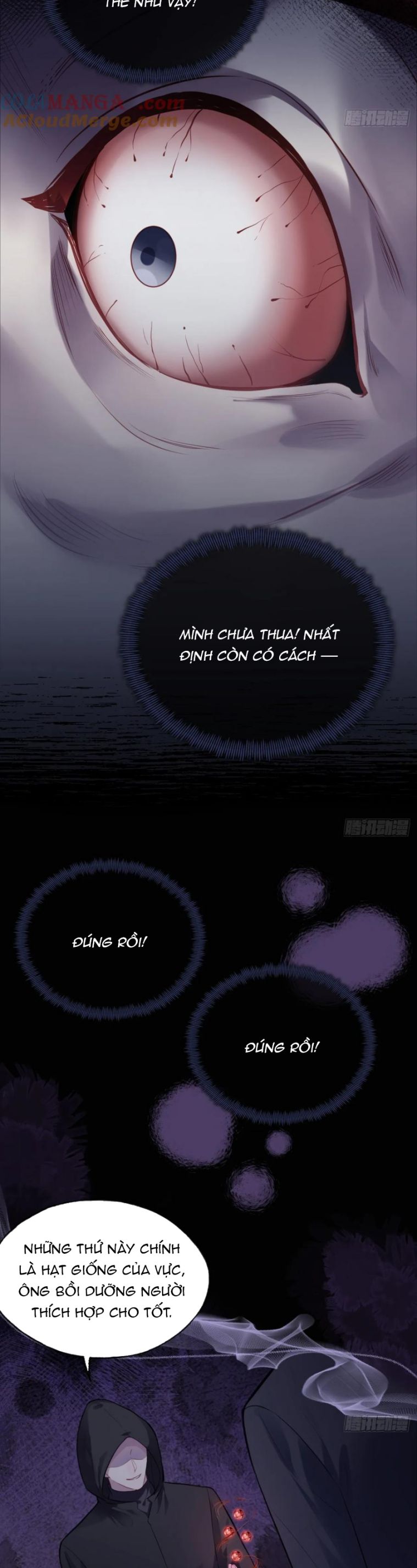 Anh Ấy Chưa Từng Rơi Xuống Chap 84 - Next Chap 85