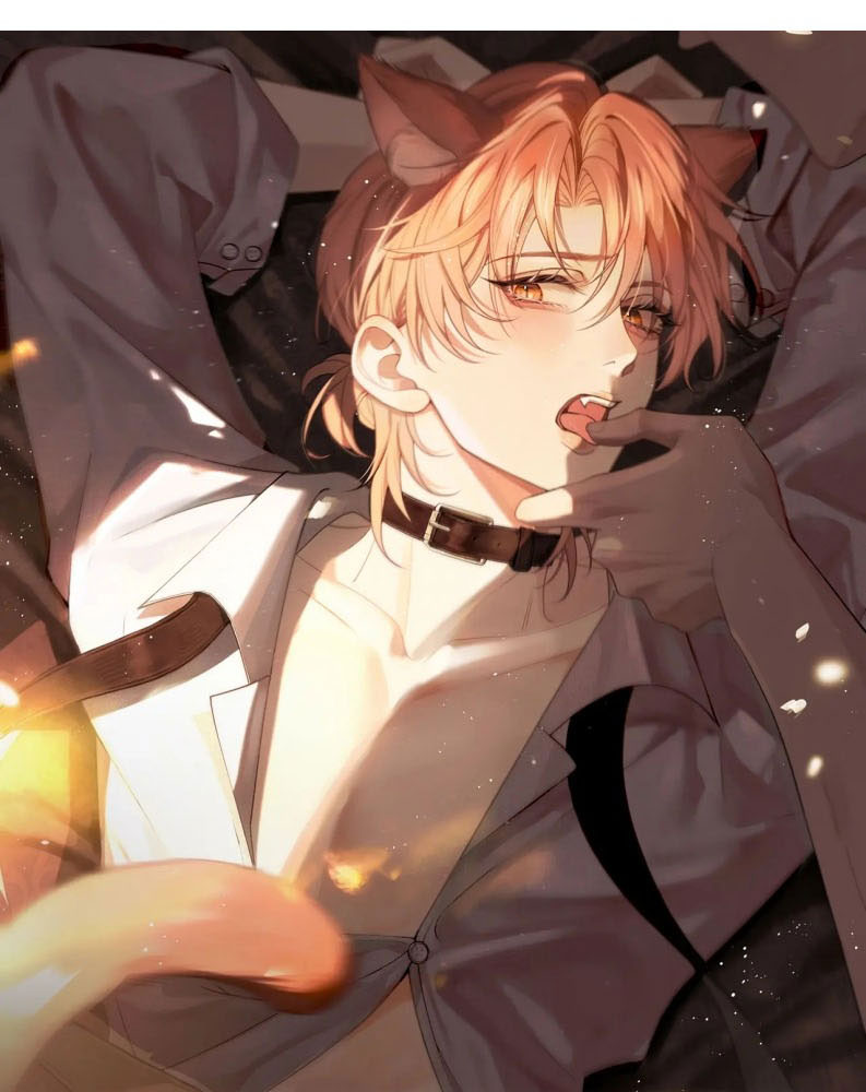 Tật Xấu Nuông Chiều Chap 3 - Trang 4