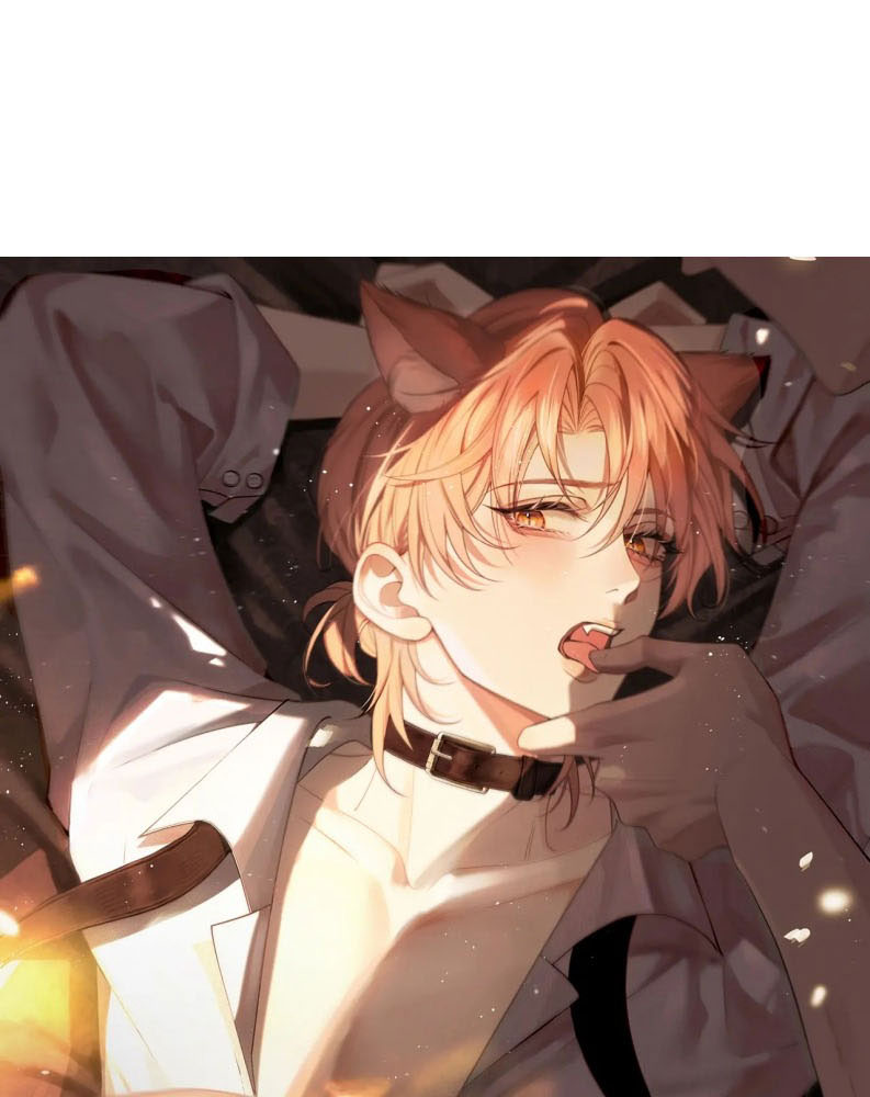 Tật Xấu Nuông Chiều Chap 4 - Trang 4