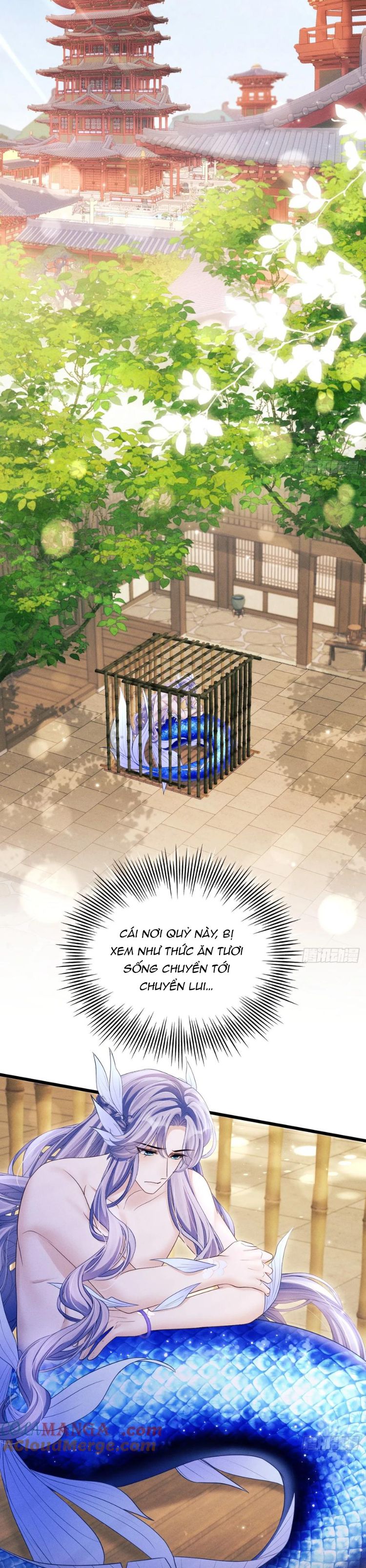 Tôi Hoài Nghi Ảnh Đế Đang Theo Đuổi Tôi Chapter 155 - Next Chapter 156