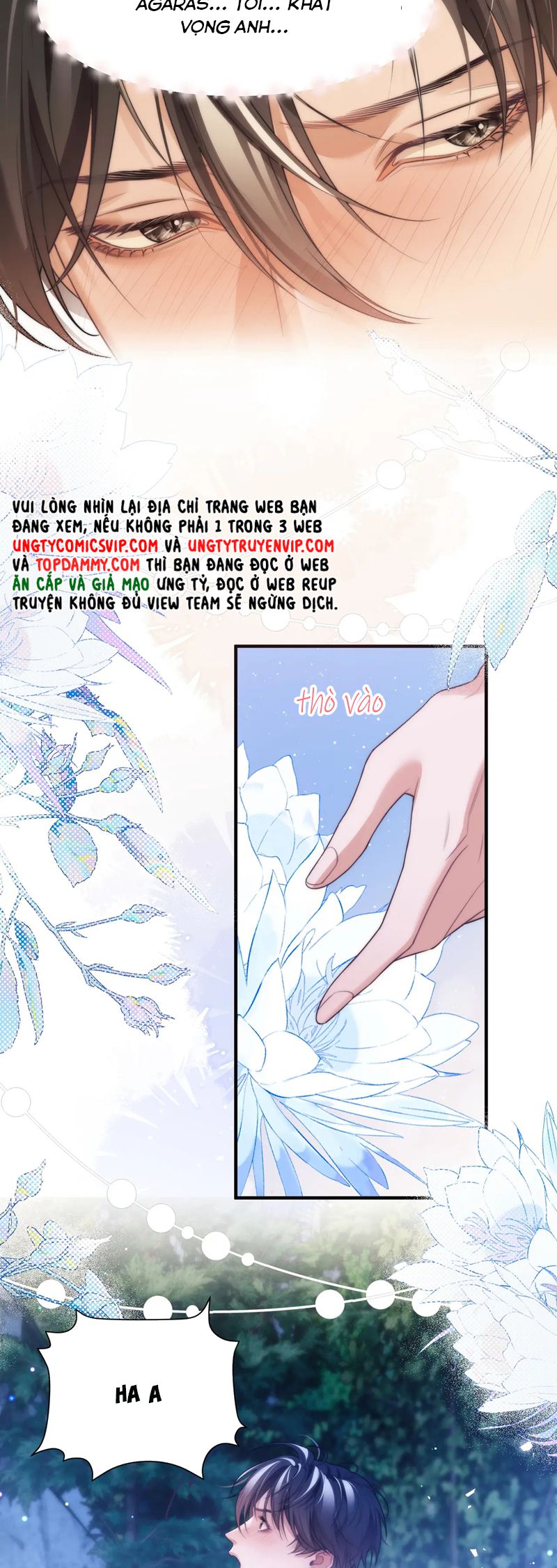 Desharow Nhân Ngư Chapter 62 - Next Chapter 63