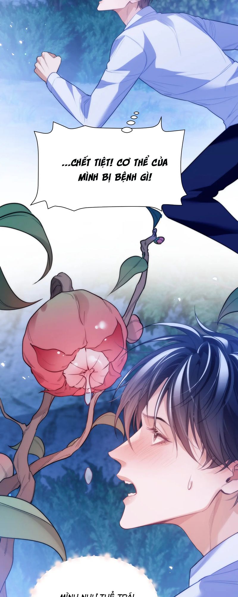 Desharow Nhân Ngư Chapter 62 - Next Chapter 63