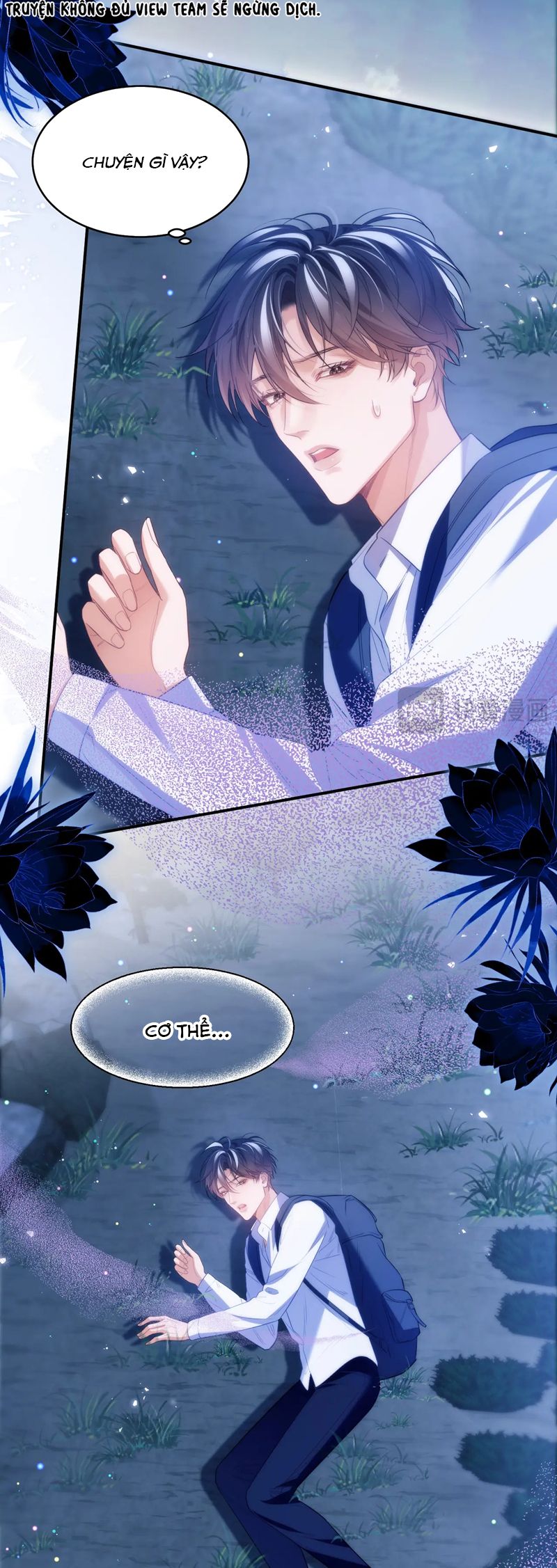 Desharow Nhân Ngư Chapter 62 - Next Chapter 63