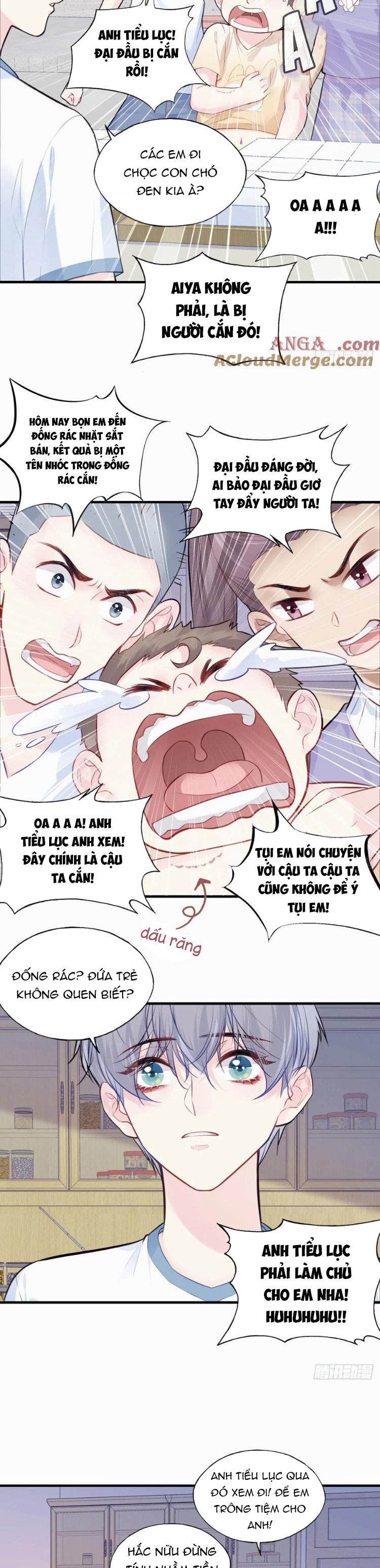 Anh Ấy Chưa Từng Rơi Xuống Chap 86 - Next Chap 87