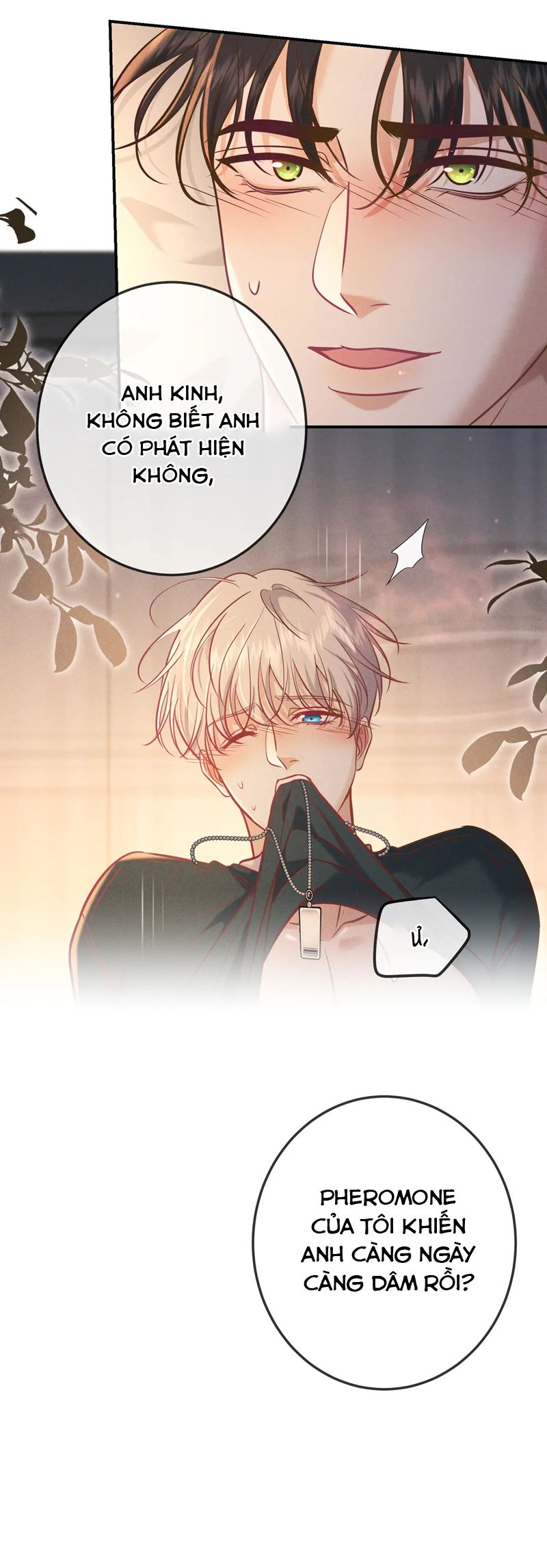 Đêm Tình Yêu Và Sát Ý Chapter 33 - Next Chap 33