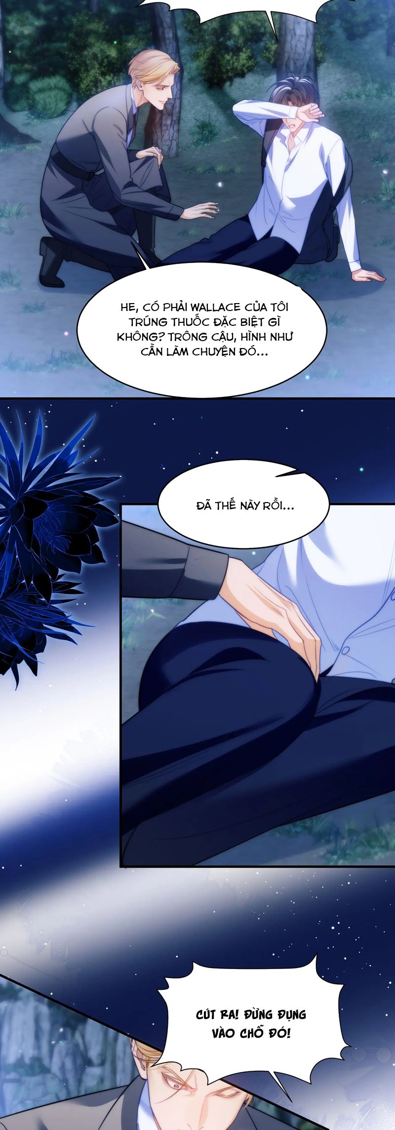 Desharow Nhân Ngư Chapter 63 - Next Chapter 64
