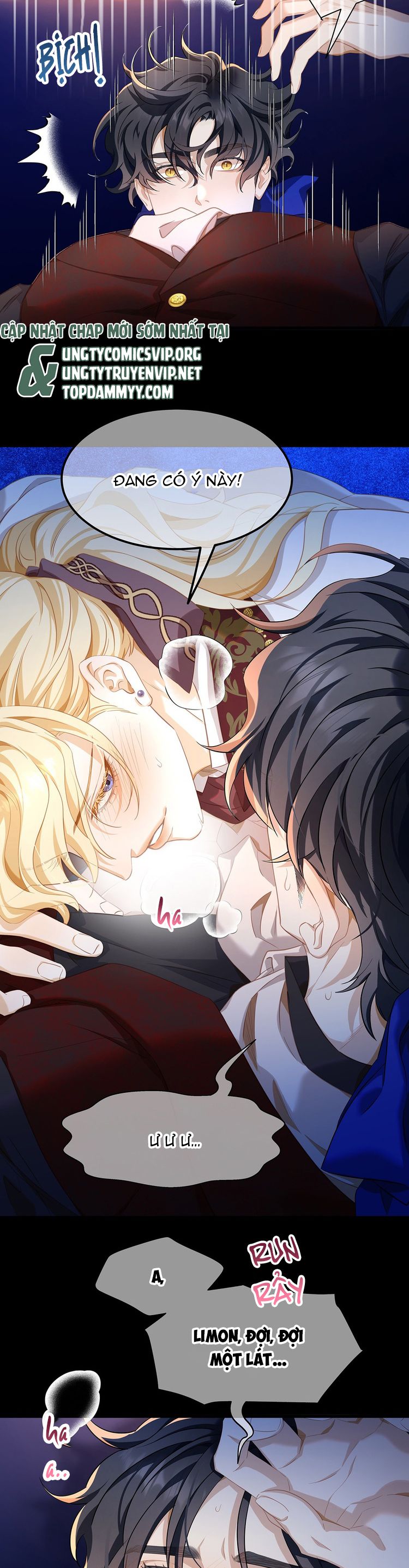 Tôi Trùng Sinh Trở Thành Tiểu Ác Long Của Vương Tử Điện Hạ Chapter 52 - Next Chapter 53