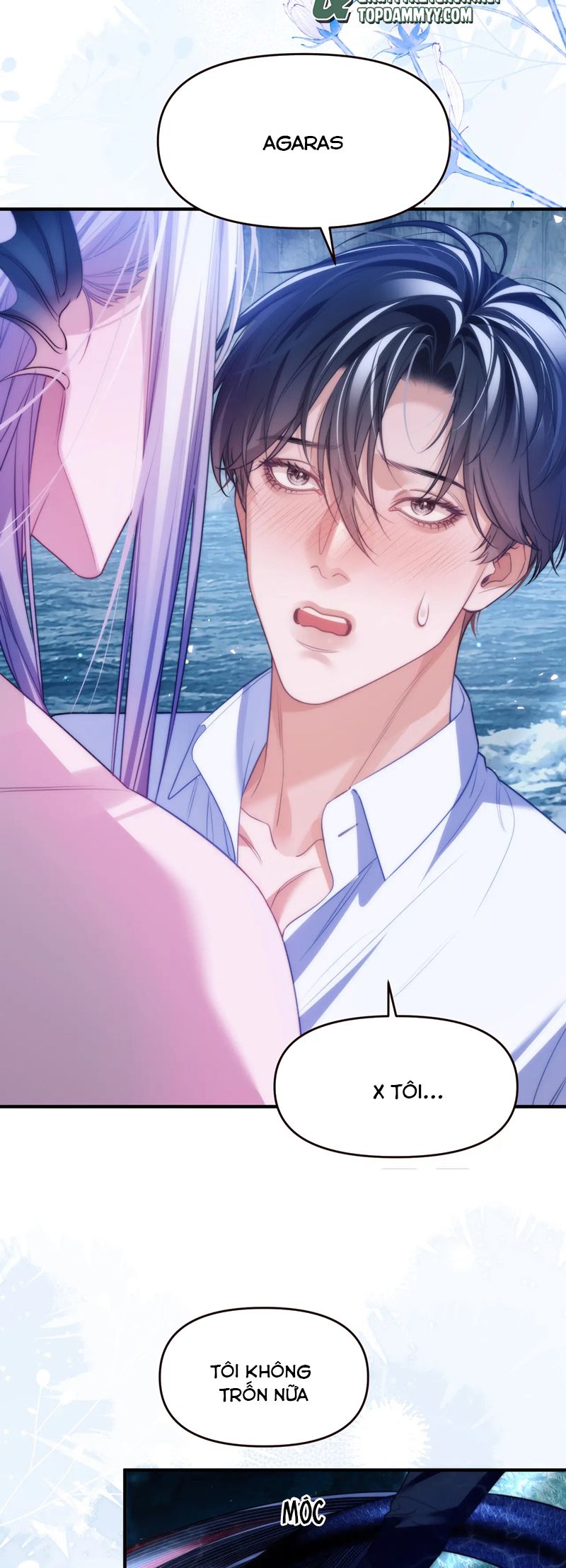 Desharow Nhân Ngư Chapter 65 - Next Chapter 66