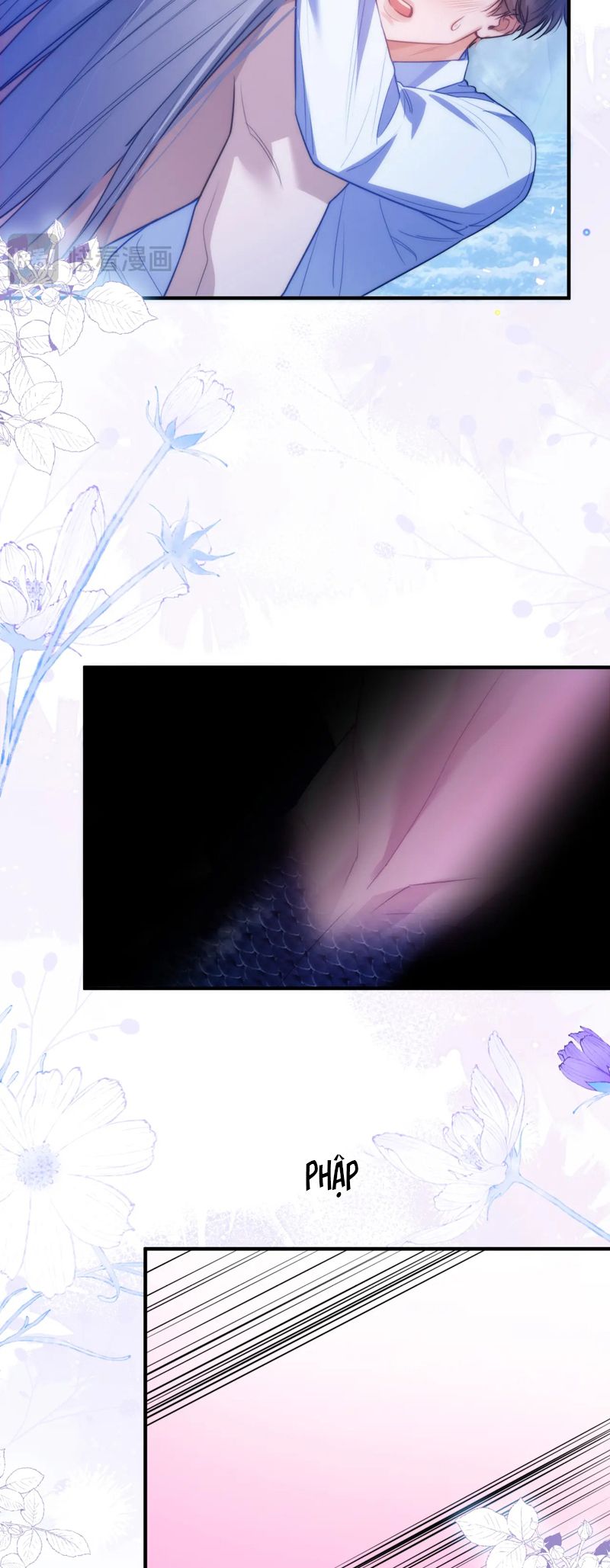 Desharow Nhân Ngư Chapter 65 - Next Chapter 66