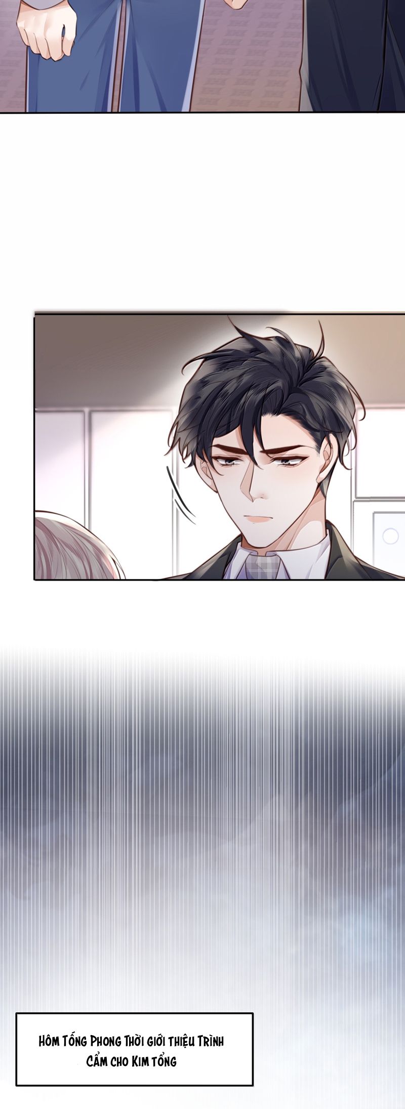 Tổng Tài Định Chế Tư Nhân Chap 112 - Next Chap 113