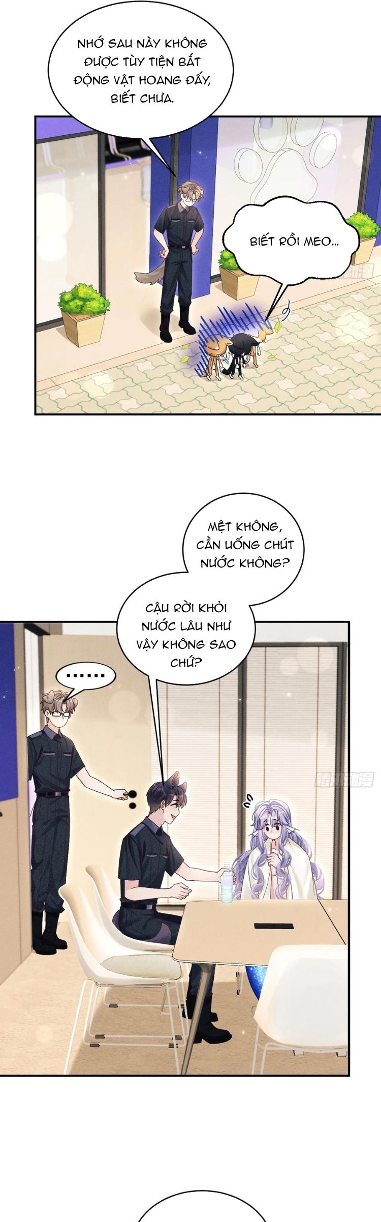Tôi Hoài Nghi Ảnh Đế Đang Theo Đuổi Tôi Phiên Ngoạii 1 - Next Phiên Ngoại 2