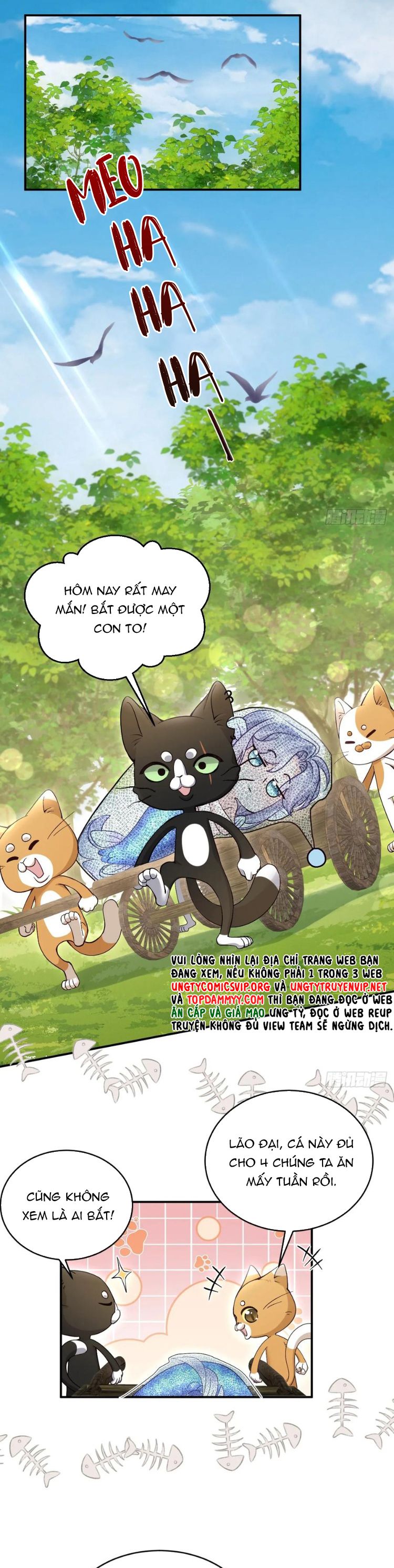 Tôi Hoài Nghi Ảnh Đế Đang Theo Đuổi Tôi Phiên Ngoạii 1 - Next Phiên Ngoại 2