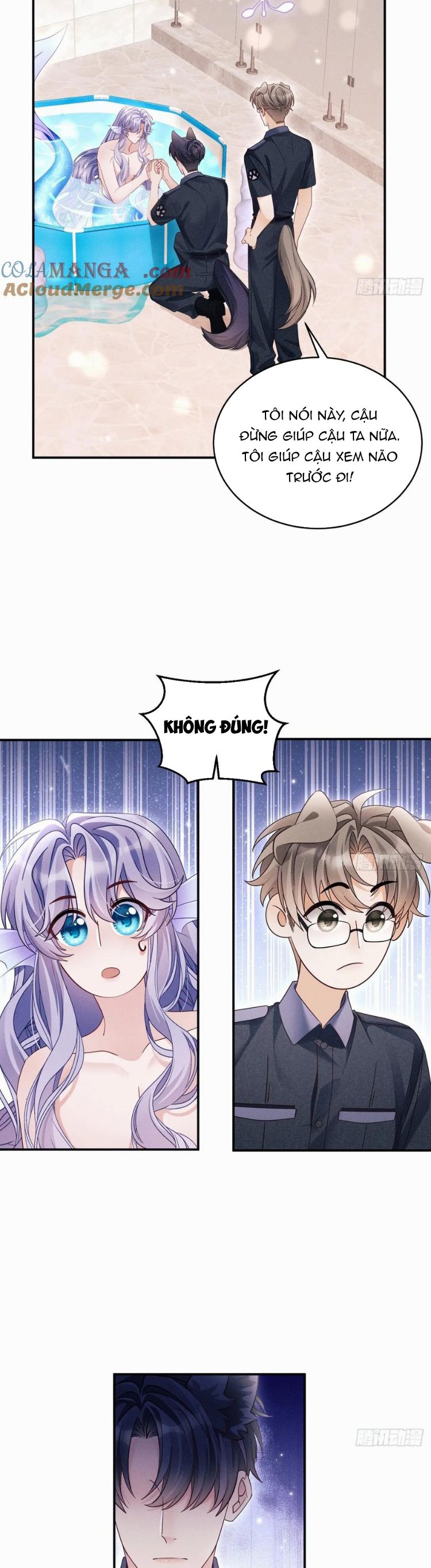 Tôi Hoài Nghi Ảnh Đế Đang Theo Đuổi Tôi Phiên Ngoạii 2 - Next Phiên Ngoạii 1