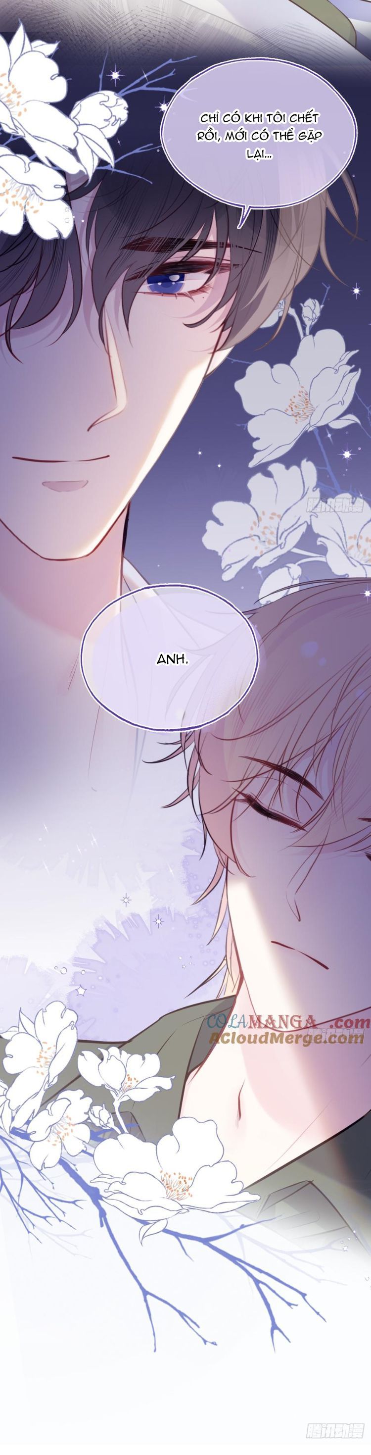 Anh Ấy Chưa Từng Rơi Xuống Chap 90 - Next Chap 91