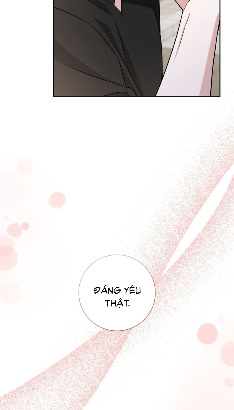Chiến thuật bắt bóng tình yêu Chapter 11 - Next Chapter 12