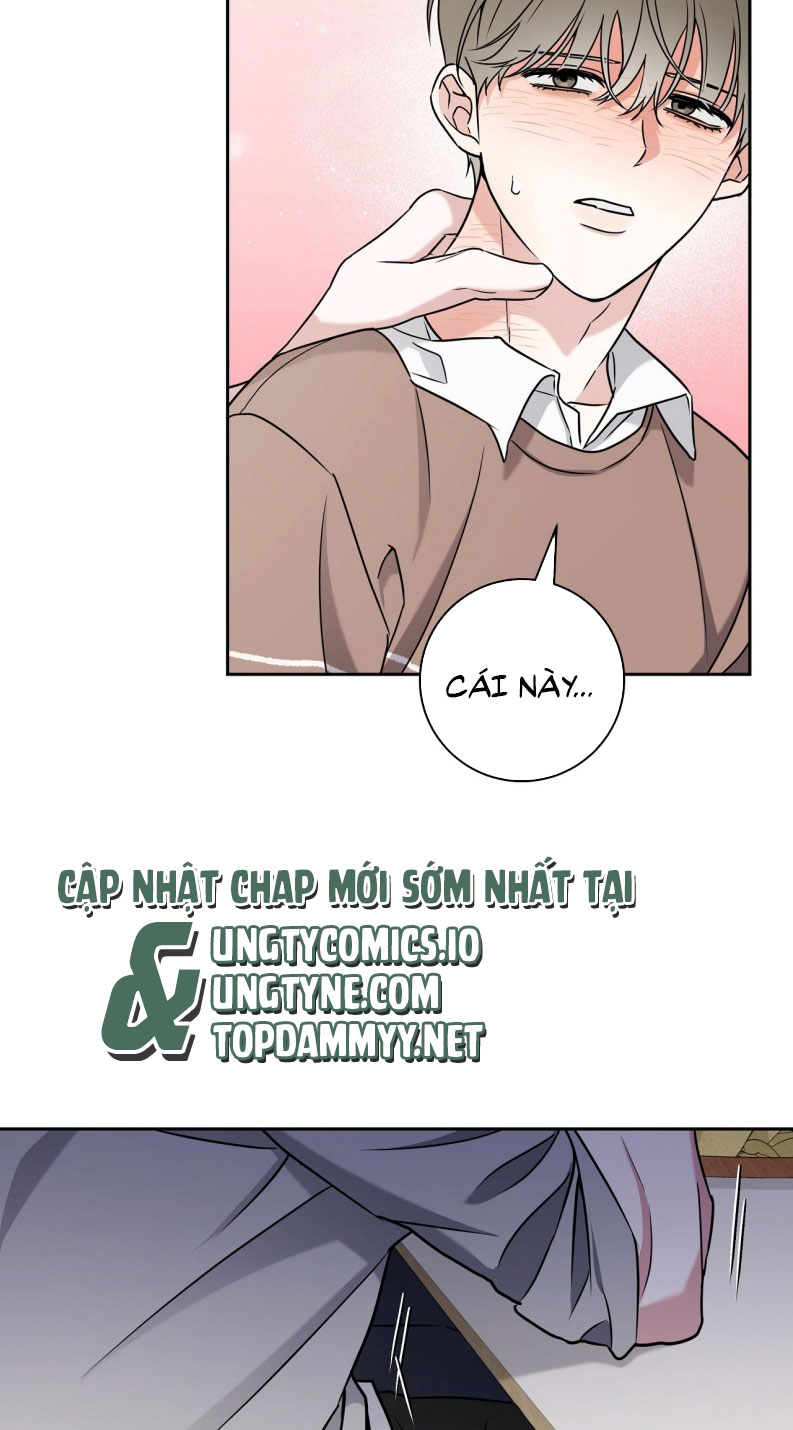 Chiến thuật bắt bóng tình yêu Chapter 13 - Next Chapter 14