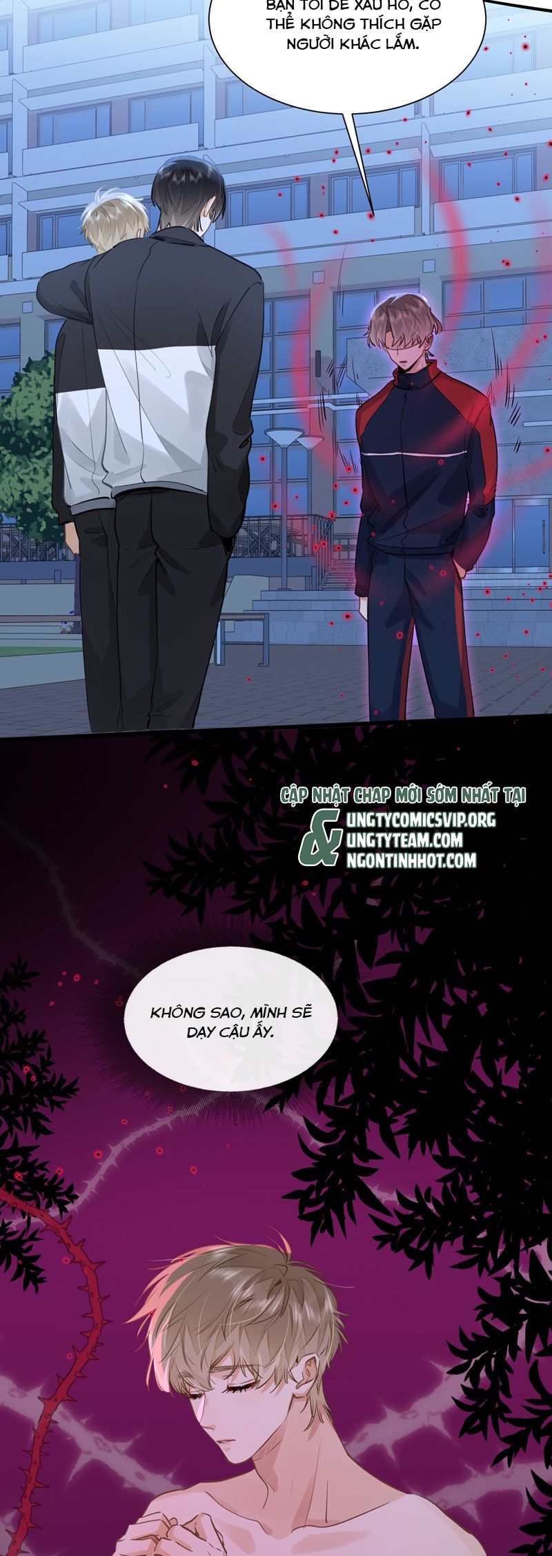 Tôi Thích Tin Tức Tố Của Cậu Chapter 48 - Trang 4