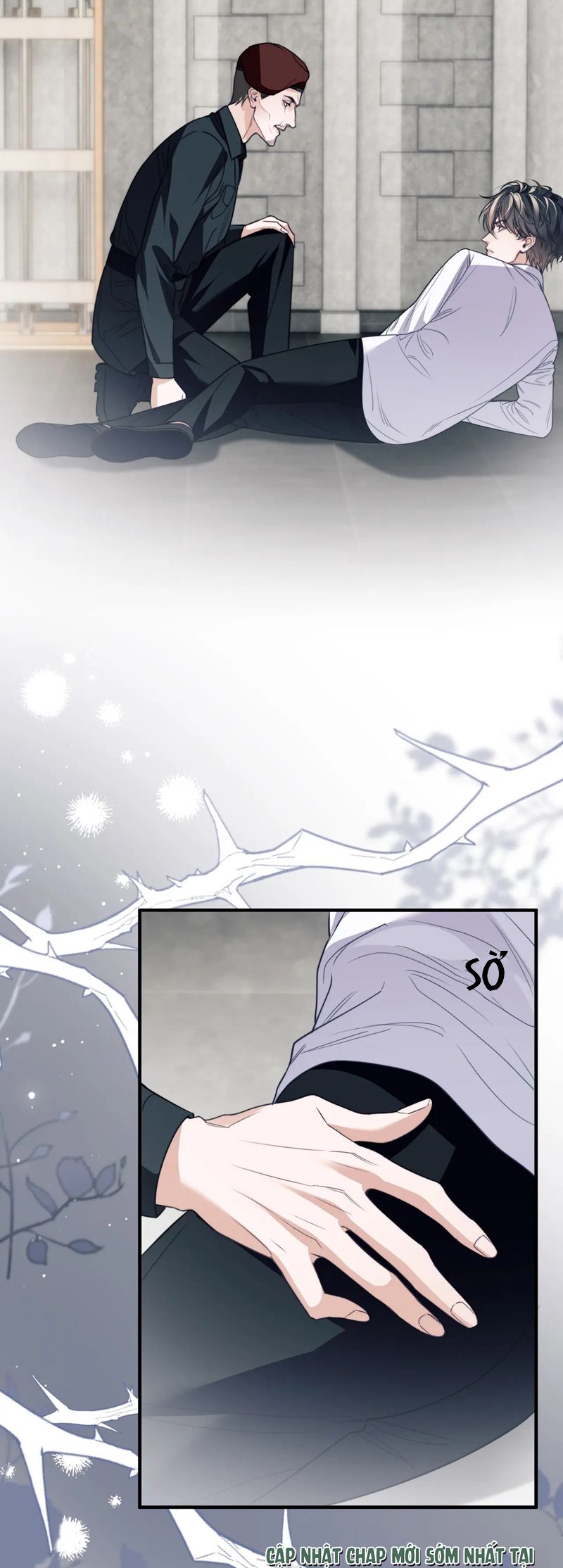 Desharow Nhân Ngư Chapter 67 - Next Chapter 68