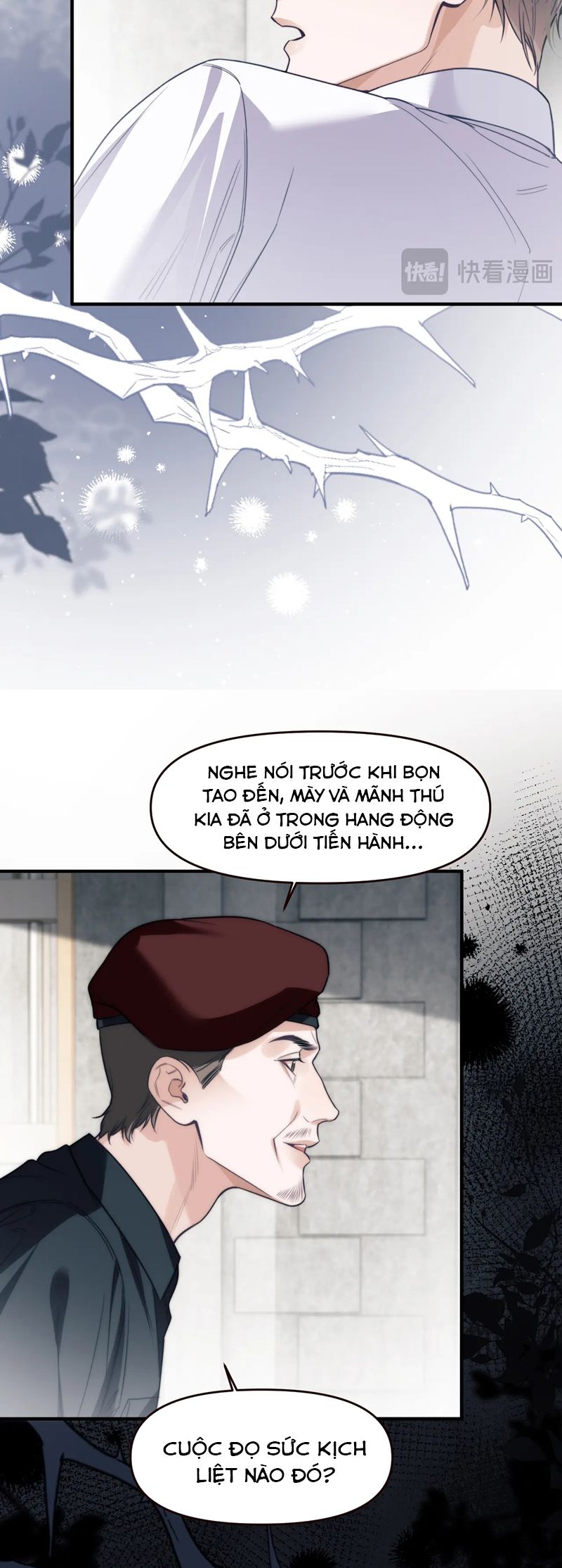 Desharow Nhân Ngư Chapter 67 - Next Chapter 68