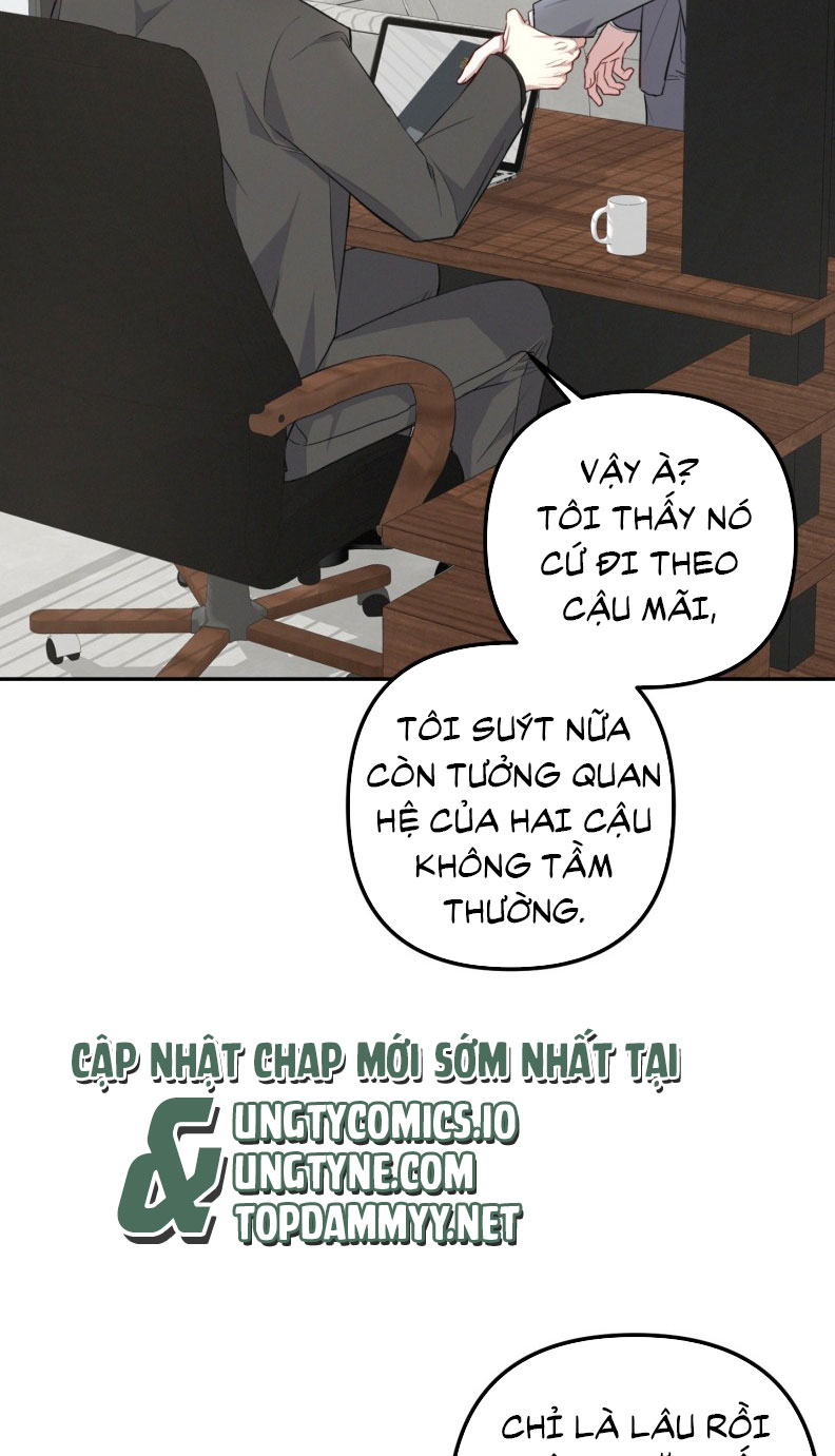 Thương vụ thứ hai Chapter 4 - Next Chapter 5